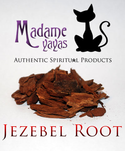 Jezebel Root